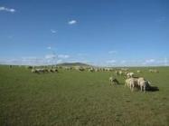 內(nèi)蒙新型墻體設(shè)備